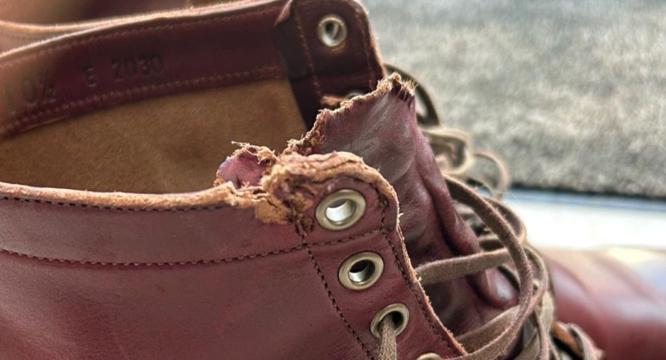 Boot Chew Blues How to stop the dog making your boots their new chew